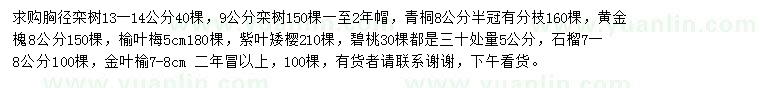 求购栾树、青桐、黄金槐等