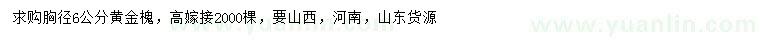 求购胸径6公分黄金槐