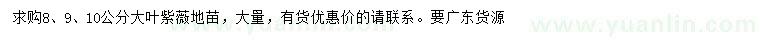 求购8、9、10公分大叶紫薇