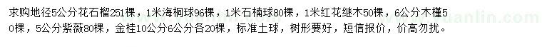 求购花石榴、海桐球、石楠球等