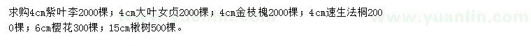 求购紫叶李、大叶女贞、金枝槐等