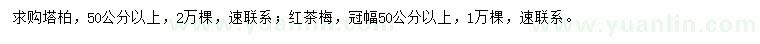 求购塔柏、红茶梅