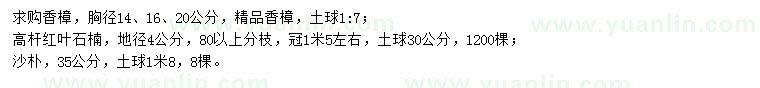 求购香樟、高杆红叶石楠、沙朴