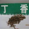 供应林木花卉种子 紫丁香种子 暴马丁香种子 紫丁香