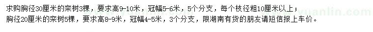 求购胸径20、30公分栾树