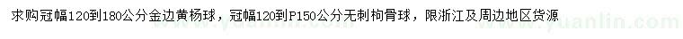 求购金边黄杨球、无刺枸骨球