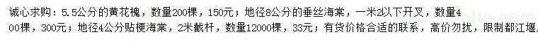 求购黄花槐、垂丝海棠、贴梗海棠