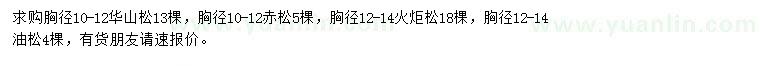 求购华山松、赤松、火炬松等