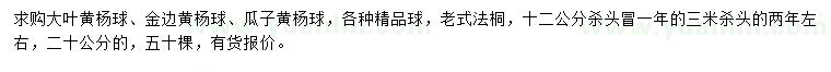 求购大叶黄杨球、金边黄杨球、瓜子黄杨球等