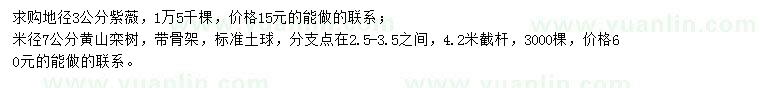 求购地径3公分紫薇、米径7公分黄山栾树