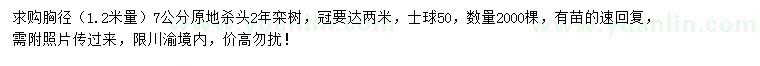 求购1.2米量胸径7公分栾树