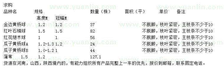 求购金边黄杨球、红叶石楠球、红花继木球等