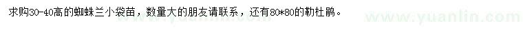 求购高30-40公分蜘蛛兰、高80公分勒杜鹃