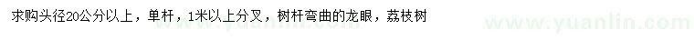 求购头径20公分以上龙眼、荔枝树