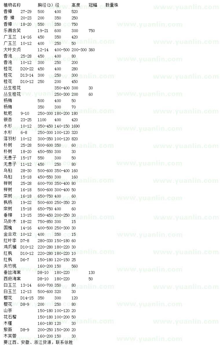 求购香樟、乐昌含笑、广玉兰等