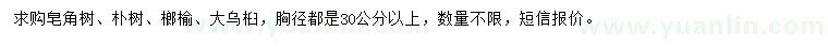 求购皂角树、朴树、榔榆等