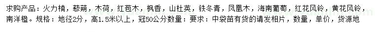 求购火力楠、藜蒴、木荷等