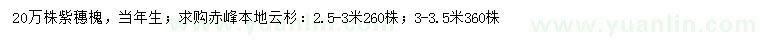 求购2.5-3、3-3.5米云杉、当年生紫穗槐