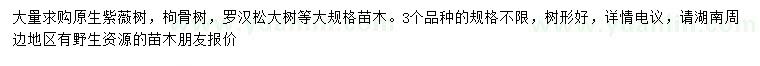 求购野生紫薇、罗汉松、枸骨树