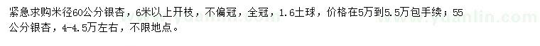 求购米径55、60公分银杏