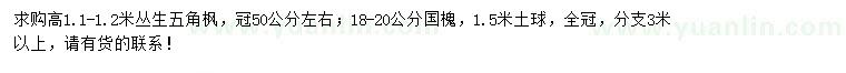 求购高1.1-1.2米丛生五角枫、18-20公分国槐