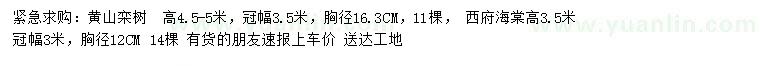 求购胸径16.3公分黄山栾树、胸径12公分西府海棠