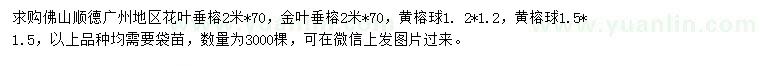 求购花叶垂榕、金叶垂榕、黄榕球