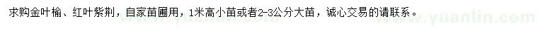 求购金叶榆、红叶紫荆