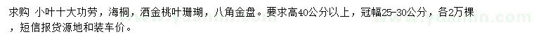 求购小叶十大功劳、海桐、洒金桃叶珊瑚等