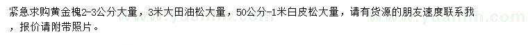 求购黄金槐、大田油松、白皮松
