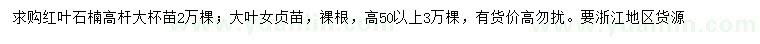 求购红叶石楠大杯苗、50公分以上大叶女贞