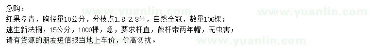 求购红果冬青、速生新法桐