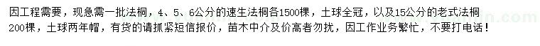 求购4、5、6公分速生法桐、15公分老式法桐