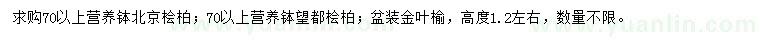 求购北京桧柏、望都桧柏、金叶榆