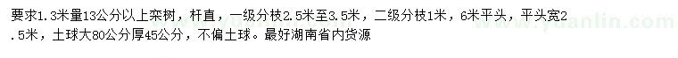 求购胸径13公分栾树