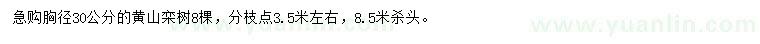 求购胸径30公分黄山栾树