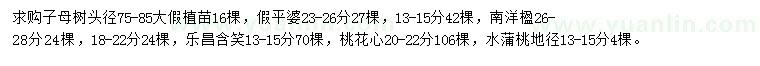 求购子母树、假平婆、南洋楹等