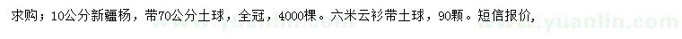 求购10公分新疆杨、6米云杉