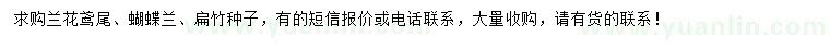 求购兰花鸢尾、蝴蝶兰、扁竹种子