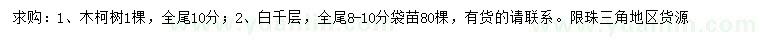 求购10公分木柯树、8-10公分白千层