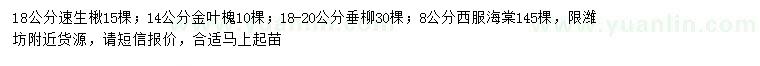 求购速生楸 、金叶槐、垂柳等