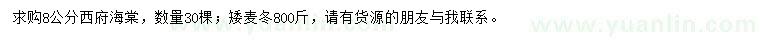 求购8公分西府海棠、矮麦冬