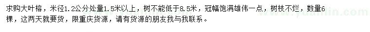 求购1.2公分处量1.5米以上大叶榕