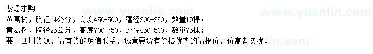 求购胸径14、25公分黄葛树