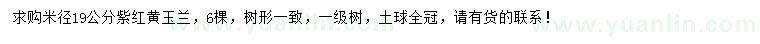 求购米径19公分紫红黄玉兰