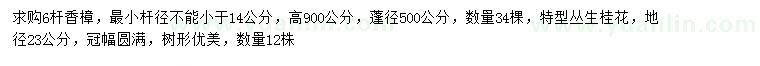 求购14公分香樟、地径23公分丛生桂花