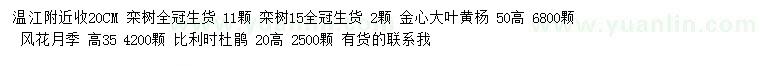 求购栾树、金心大叶黄杨、风花月季等