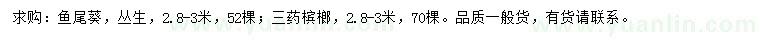 求购2.8-3米鱼尾葵、三药槟榔