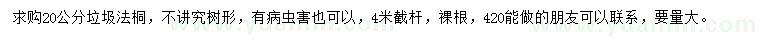 求购20公分垃圾法桐