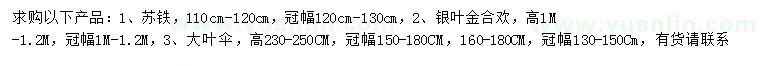 求购苏铁、银叶金合欢、大叶伞